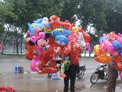 Hà Nội ngày đầu năm ảnh 5